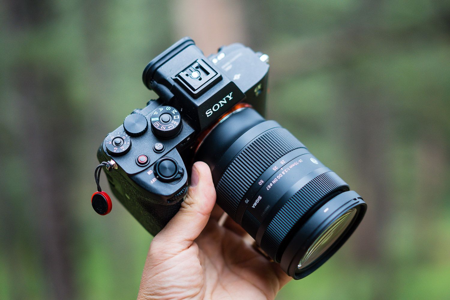 Sony 24-70GM — 전문 촬영 장비